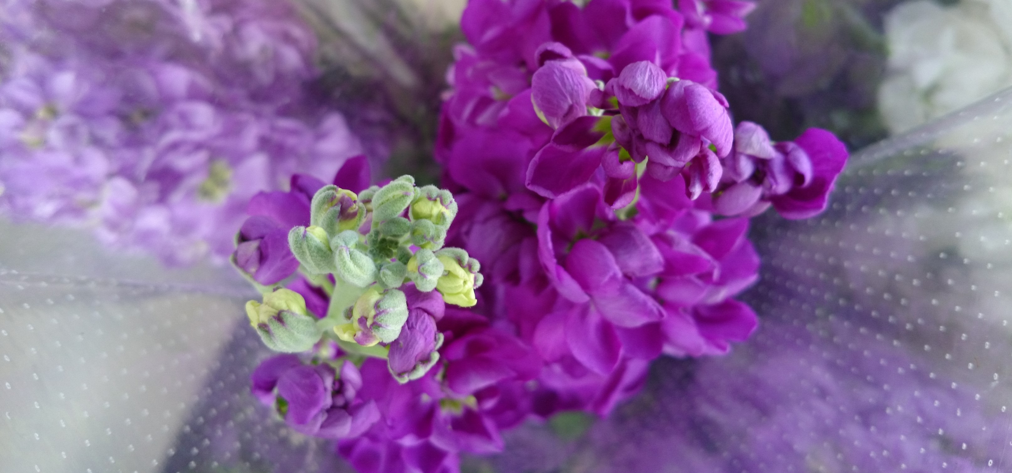 Floral arrangement by Blossom Flowers